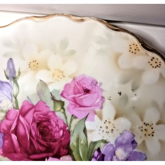 P T Tirschenreuth Bavaria Germany 9" Hand Painted Plate Rose Gold Serpentine - Picture 11 of 13